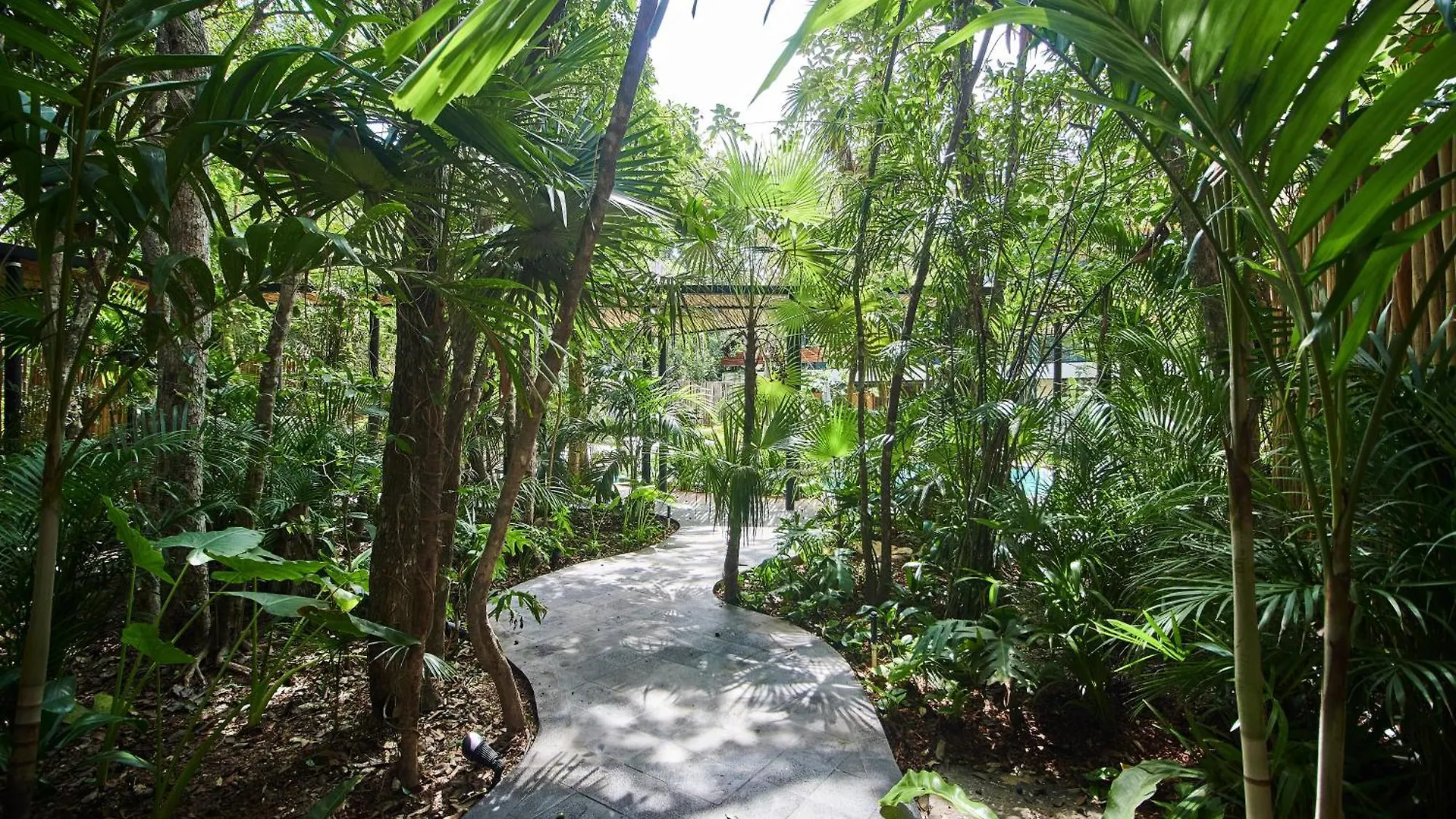 5 Star Luxury Condo With Infinity And Cenote Pools Tulum