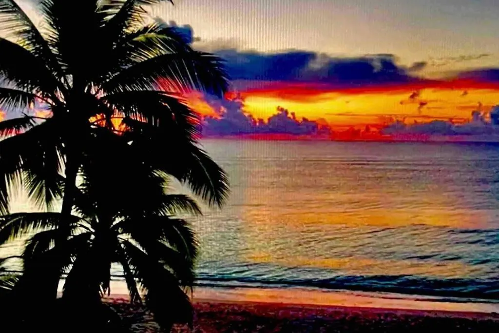 5 Star Luxury Condo With Infinity And Cenote Pools Tulum Mexico