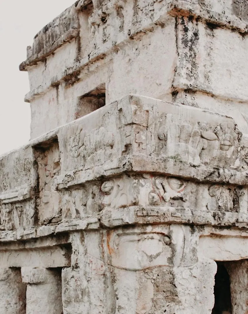 5 Star Luxury Condo With Infinity And Cenote Pools Tulum Mexico